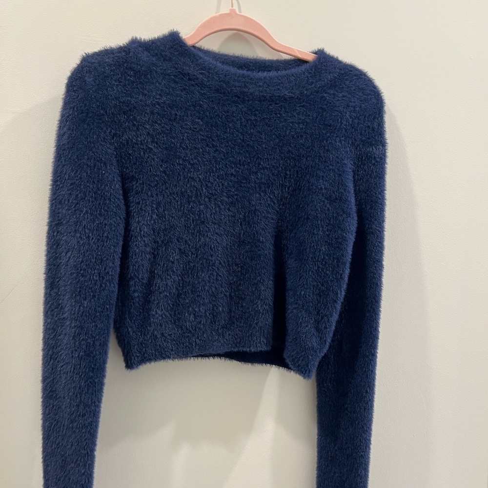 KatieJ NYC blue Sweater purchased 1 month ago.